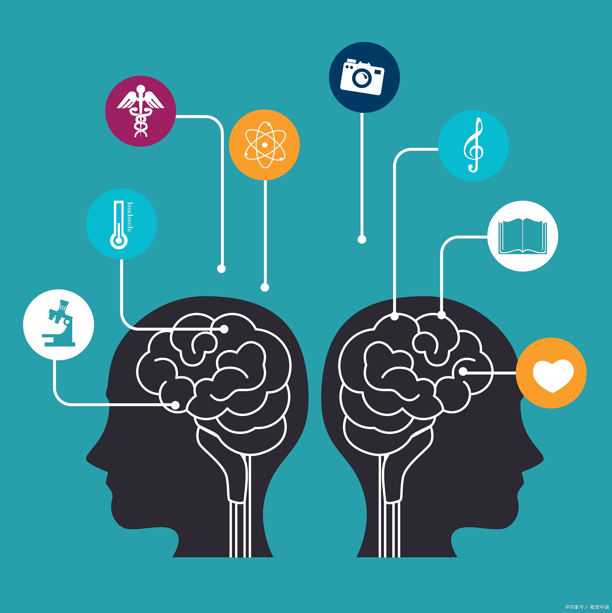 brain与mind的区别 brain和mind有什么区别 
